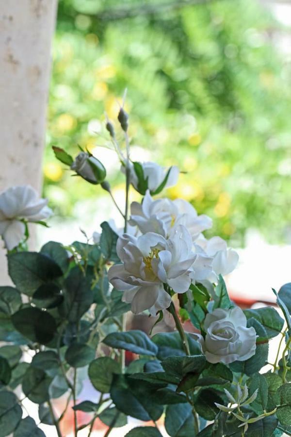 Beautiful Studio in traditional Afytos Halkidiki-UVC sterilized Esterno foto